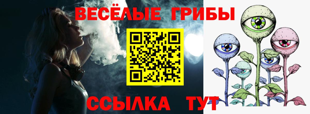 Галлюциногенные грибы Magic Shrooms Дзержинск